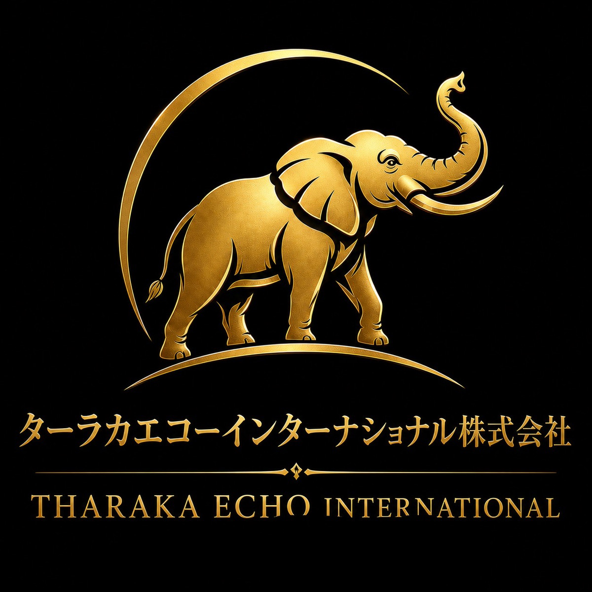 ターラカエコーインタナショナル株式会社 象のロゴ